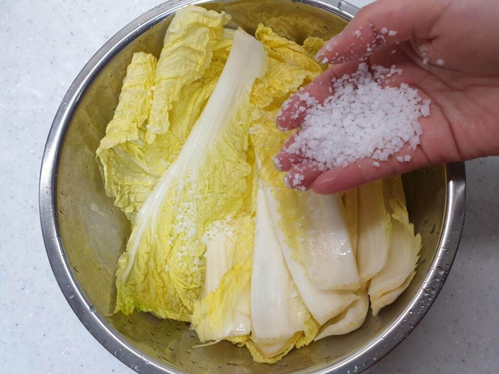 Solenie čínskej kapusty na prípravu kimchi
