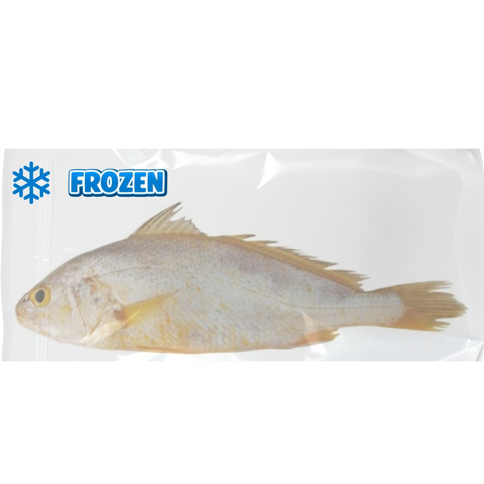 Asian Choice Croaker ASIAN CHOICE Yellow Croaker mrazene 1 kg